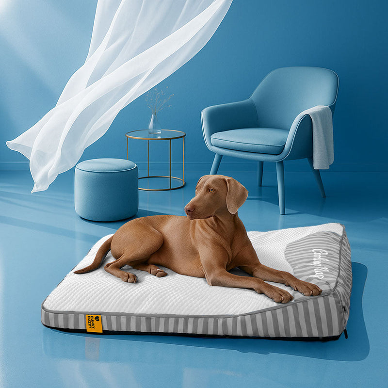 Large Washable Cooling Non-slip Dog Mat - Cooling Nap
