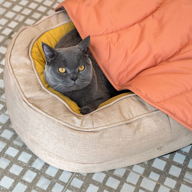 Donut Orthopedic Dog Bed