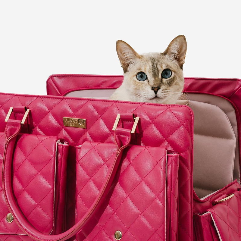 Large Carrying Stylish Multi-Functional Human-Dog Shared Travel Pet Bag - Wandering Tail